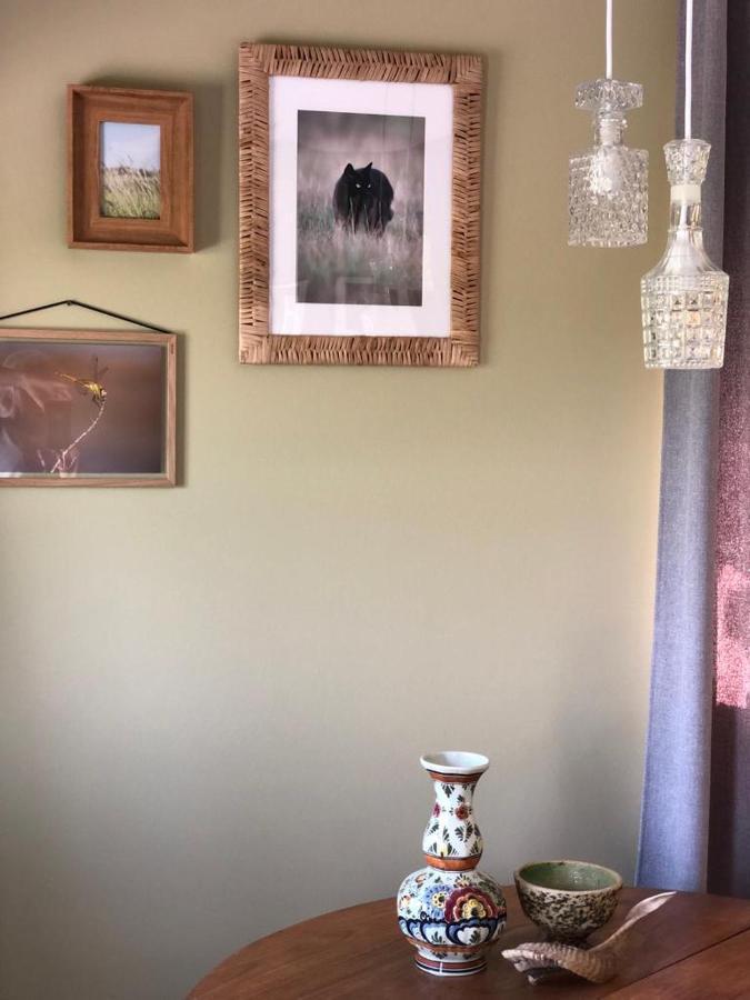 The Cat And The Owl B&B Groenlo Exteriér fotografie